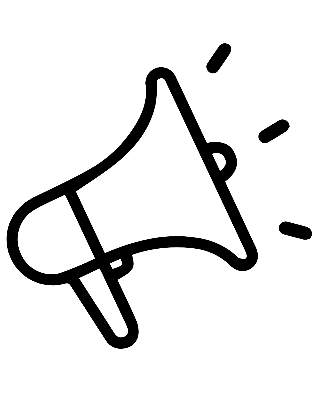 Designed and launched a fully functional company website (saltandswineco.com).